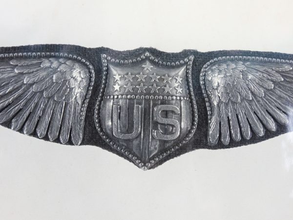 USAF Photo Of Pilot Wings Online now