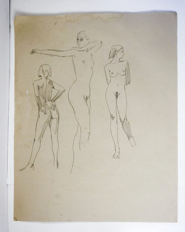 Female Nude Study Drawings by Max Jordan Online Hot Sale