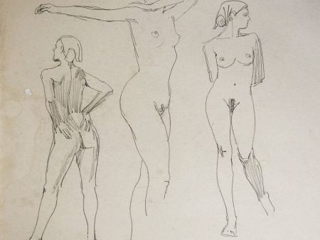 Female Nude Study Drawings by Max Jordan Online Hot Sale