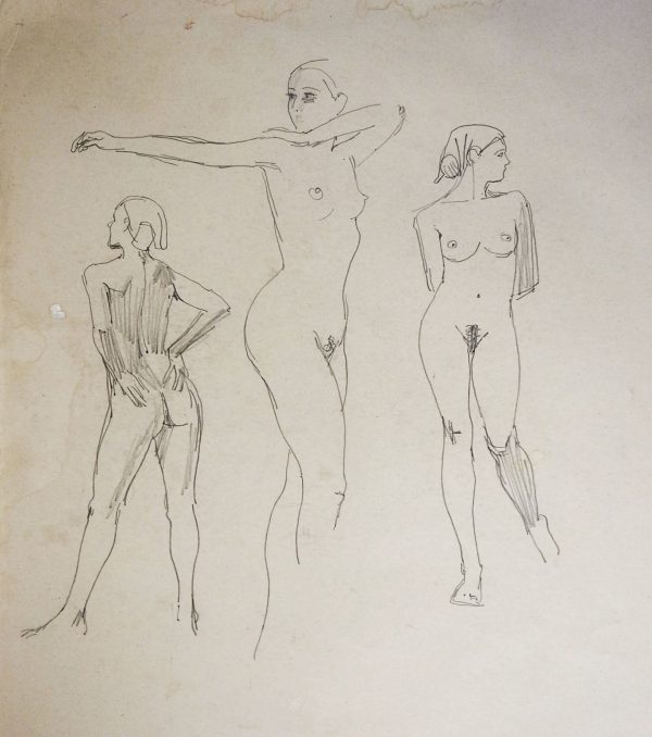 Female Nude Study Drawings by Max Jordan Online Hot Sale