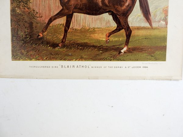 1873 Equine Chromolithograph Blairathol Supply