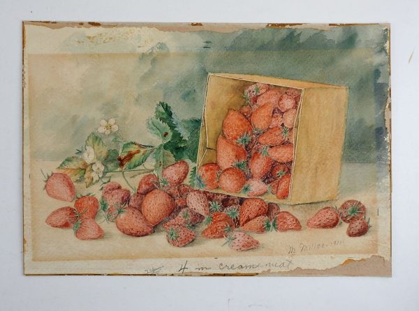 1900 Strawberry Still Life Watercolor Painting Online