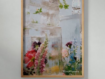 Windflowers Poster #1 Supply