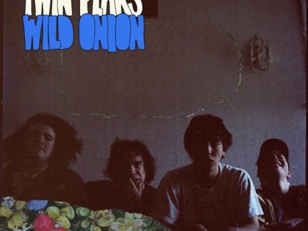 Wild Onion CD For Discount