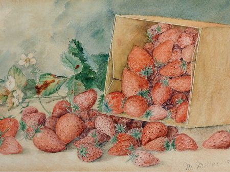 1900 Strawberry Still Life Watercolor Painting Online