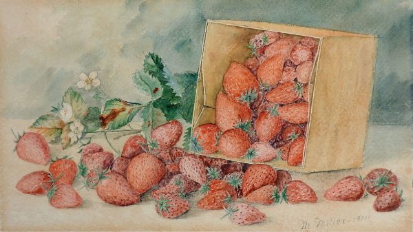 1900 Strawberry Still Life Watercolor Painting Online