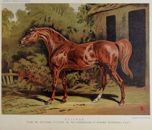 1873 Equine Chromolithograph For Sale