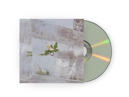 Windflowers CD For Discount