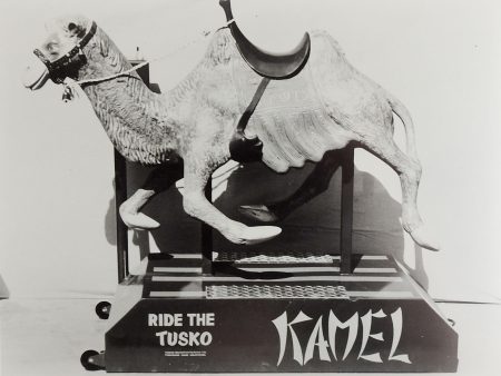 1950 s Tusko Kamel Kiddie Ride Photograph Supply