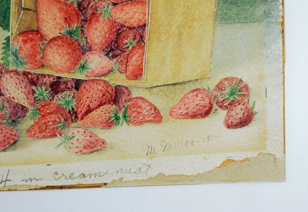 1900 Strawberry Still Life Watercolor Painting Online